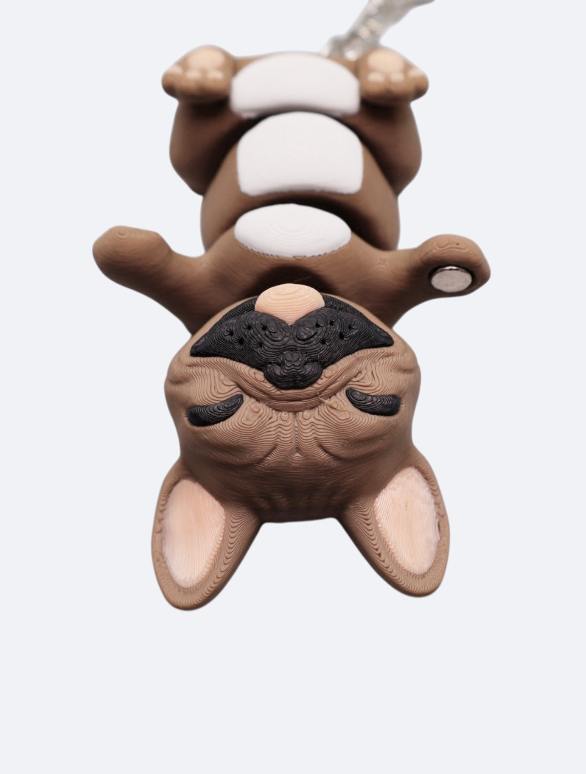 Frankie el Frech Bulldog-2