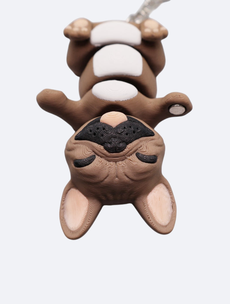 Frankie el Frech Bulldog-zoom-